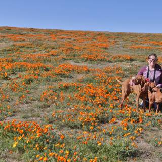 Woman and Her Pups in a Sea of Orange