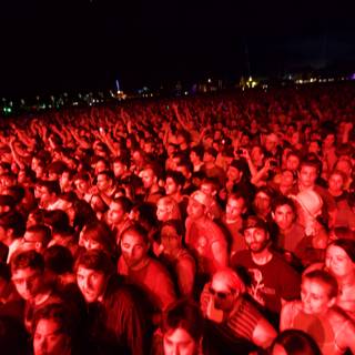 Red-Hot Crowd at 2010 Coachella
