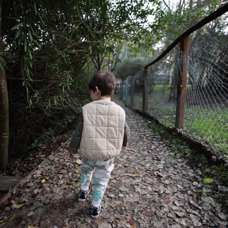 pathway in residential area or park