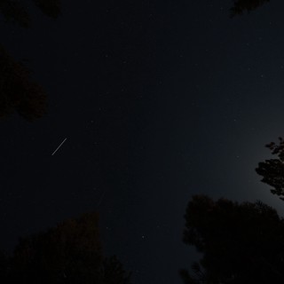 Meteor Streaks Across Star-Filled Night Sky