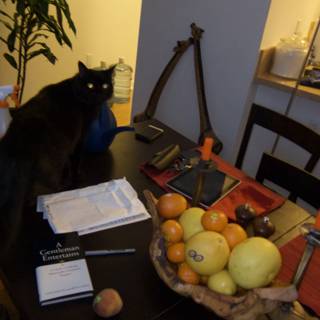 The Feline and the Fruit Bowl