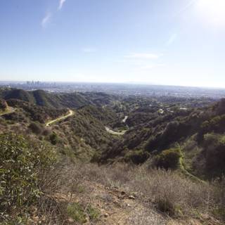 Top of the Hill in Griffith Park
