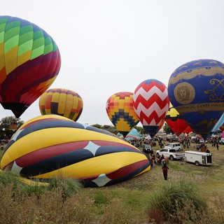 Colorful Hot Air Balloons Fill Festival Launch Field