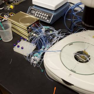 A Microscope and Equipment for Microbiology Research