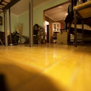 Wooden Floors and Decorative Plant in a Cozy Room