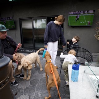 Family Gathering with Dogs on Modern Outdoor Patio