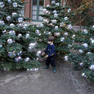 Enchanted Holiday Delight
