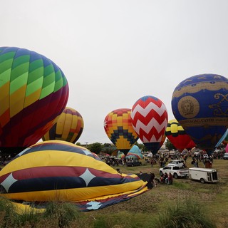 Colorful Hot Air Balloons Fill the Festival Grounds