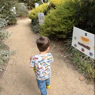 Strolling Through Nature's Path