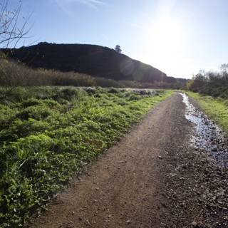 Journey Through Marin Headlands Hill 88: Unpaved Expanses