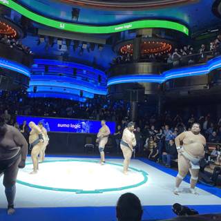 Sumo Wrestling Takes Over the Big Screen