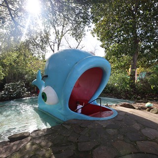 Giant Blue Whale Playground Structure at Fantasyland Park