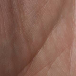 Skin Texture Close-Up