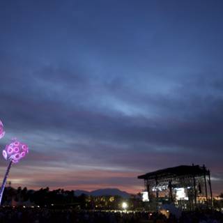 Purple Flower Takes Center Stage