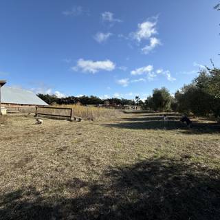 Tranquility at Heidrun Meadery