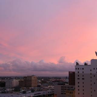 Pink Sky Above the Metropolis