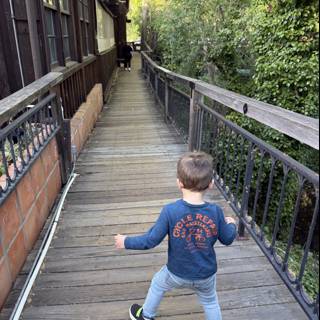 Strolling Through Walnut Creek