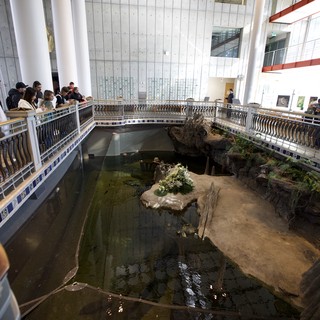 Visitors Observing Indoor Aquatic Habitat Exhibit