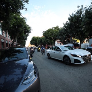 Evening Traffic on Tree-Lined Urban Street