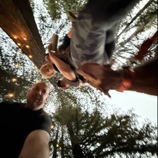 Twilight in the Redwoods