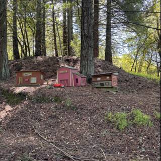 Miniature Village in the Woods