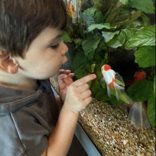 A Moment of Wonder