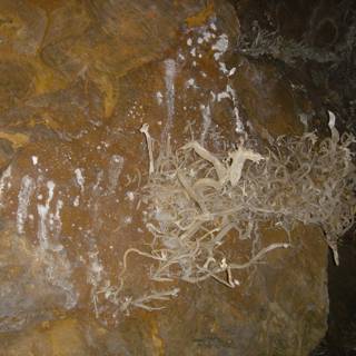 The Crystalline Cave Wall
