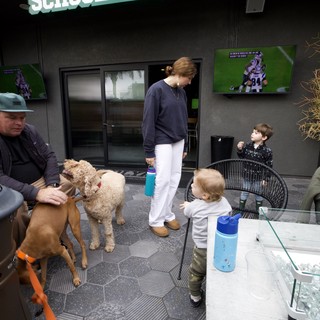 Family Gathering at Modern Outdoor Patio with Dogs