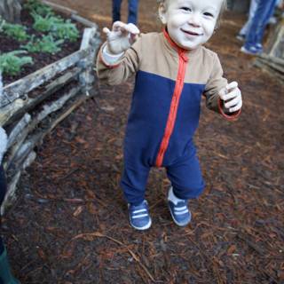 Little Adventurer at Thistlewyck