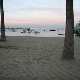 Tranquil Harbor Sunset
