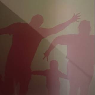 Shadows of Play