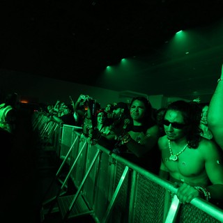 Crowd Surges at Wobbleland 2026 Under Green Lights