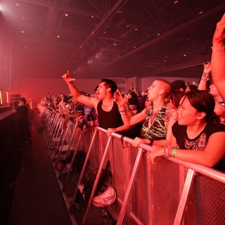 Ecstatic Fans Pack the Rail at Wobbleland 2026
