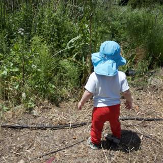 Little Explorer at Alemany Farm