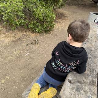 Curious Explorer in Cambria
