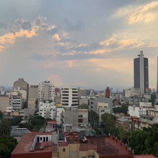 Rooftop View of the Urban Metropolis