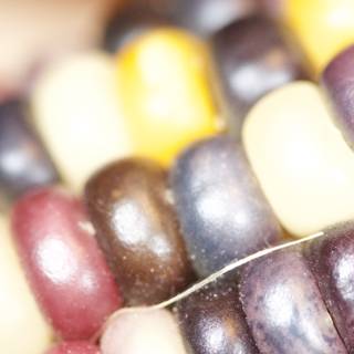 Colorful Beaded Corn Cob