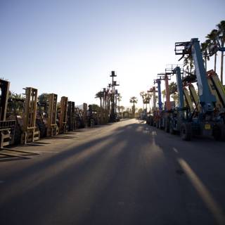 Trucks in Front of Palm Trees