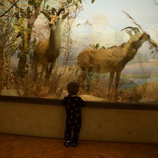 Young Curiosity Meets Nature's Art