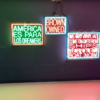 Bright Lights: A Neon Sign Display