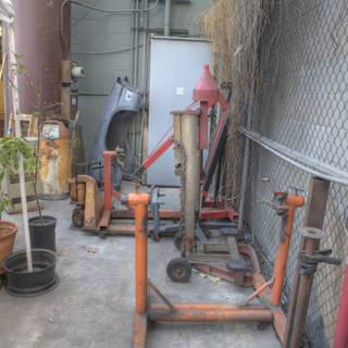 Tools and Plant in the Yard