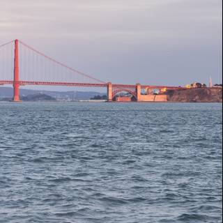 San Francisco's Iconic Sentinels