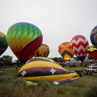 Colorful Hot Air Balloons Fill the Morning Sky