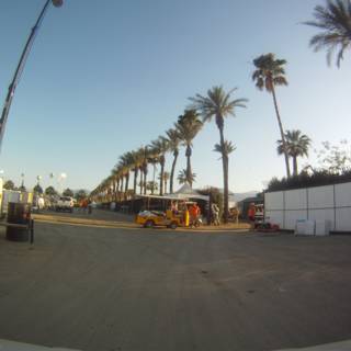 Palm-lined Street with a Truck