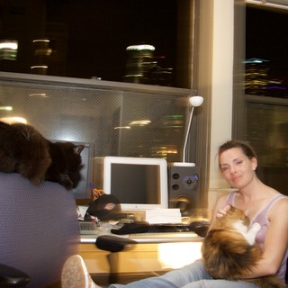 Late Night Office with Cats and City View