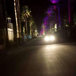 Night Drive Through Urban Palm Trees
