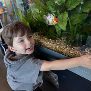 Wonder at the Aquarium