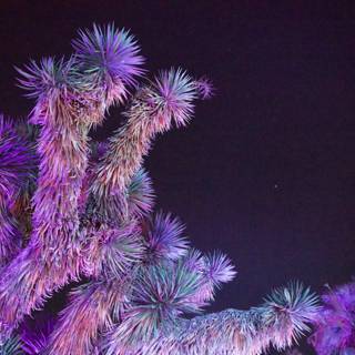 Celestial Cacti in Vibrant Hues