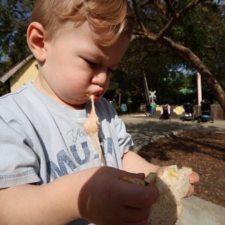 Young Boy Enjoying Sandwich at Outdoor Park
