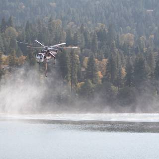 Air Support for Forest Fire